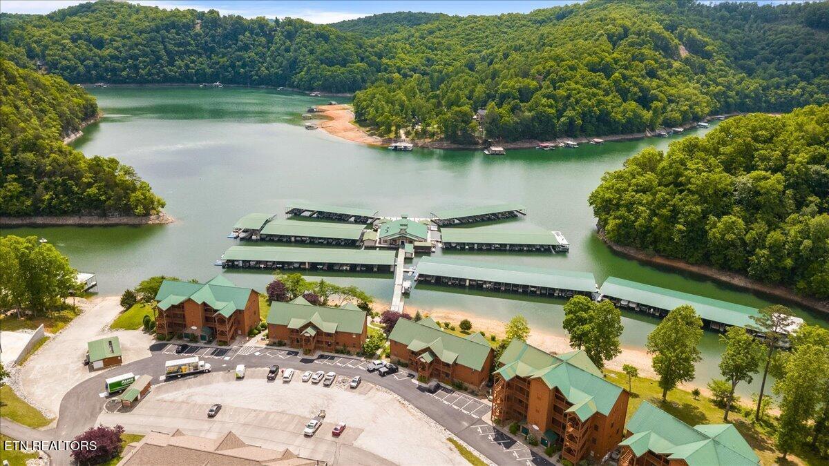 Image 2: Twin Cove Marina
