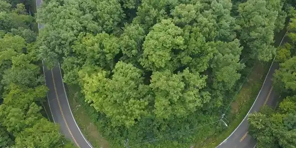 Image 2: 5017 Sevierville pike drone 1