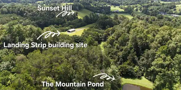 Image 2: dji_fly_20260818_121352_0073_17871502055