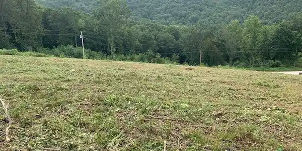 Image 3: 8