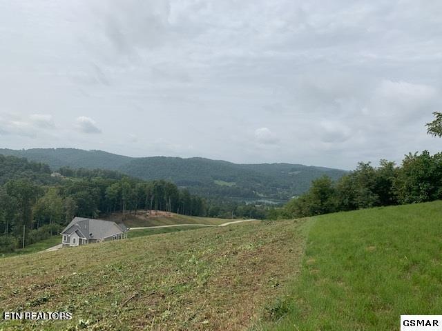 Image 4: 6