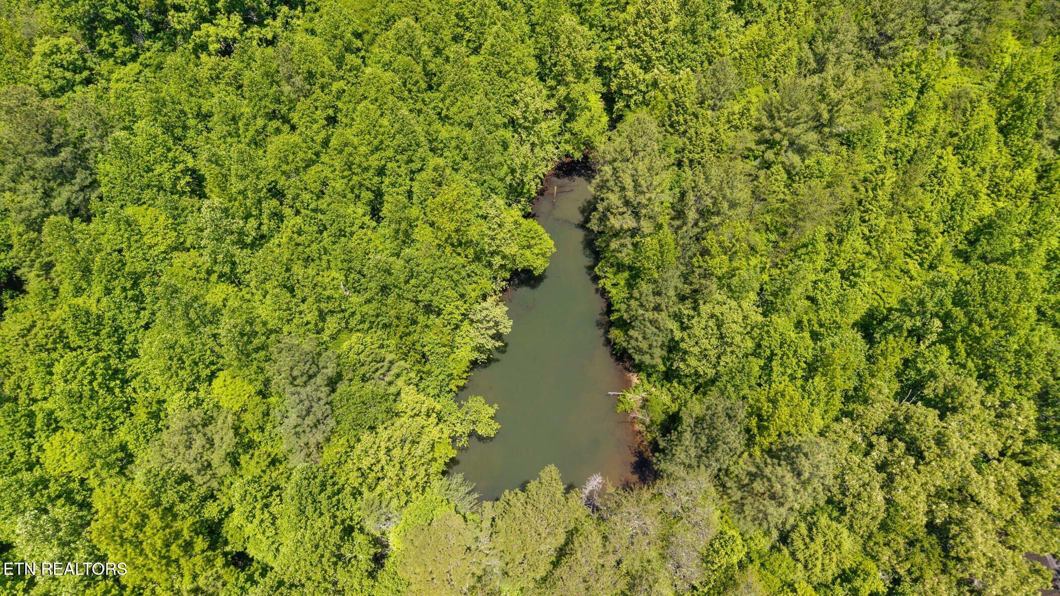 Image 2: dji_20260514125205_0280_d