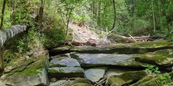 Image 3: 3