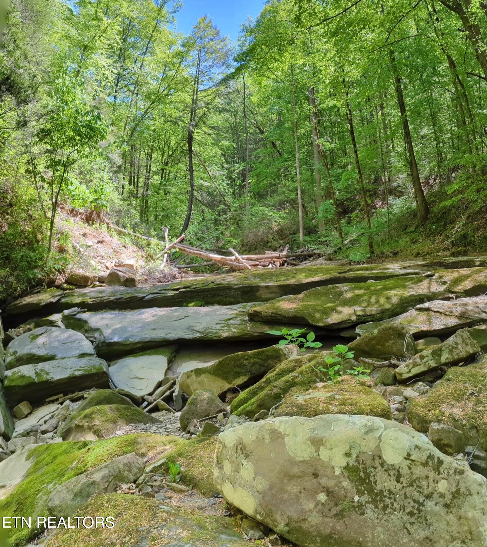 Image 4: 4