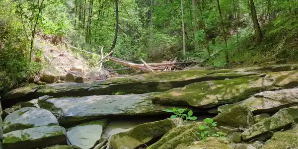 Image 4: 4