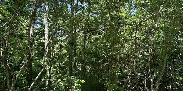 lot 714 Russell Brothers Rd