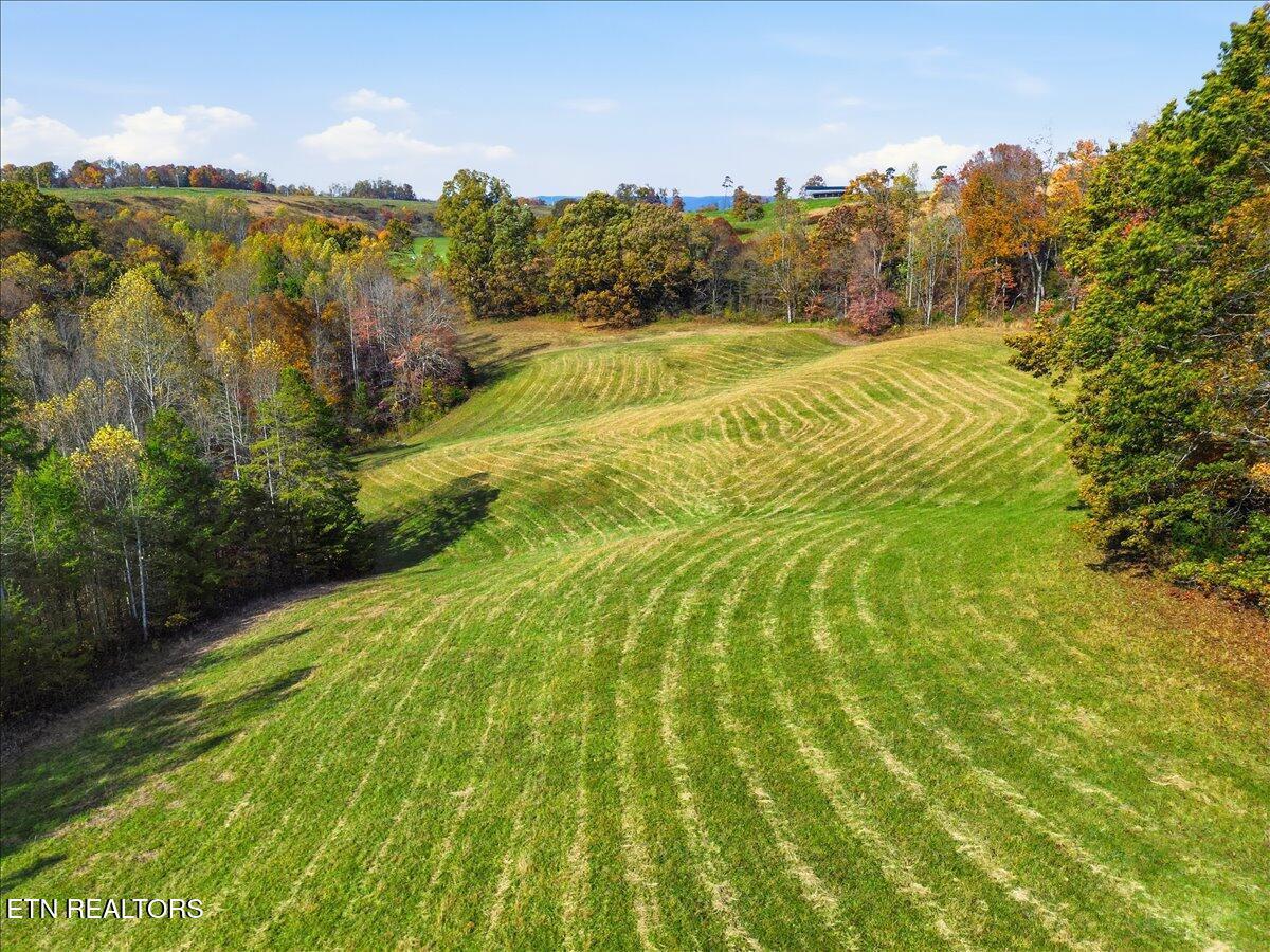 Image 3: Copy of 01-DJI_0567
