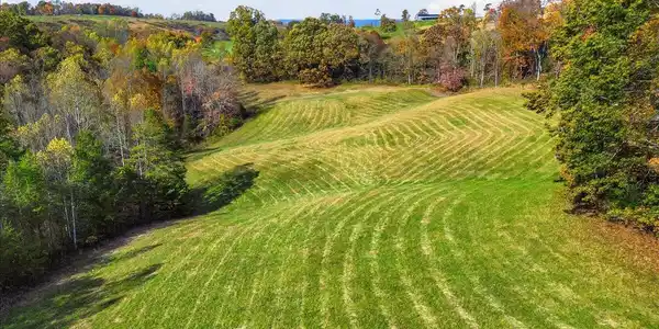 Image 3: Copy of 01-DJI_0567