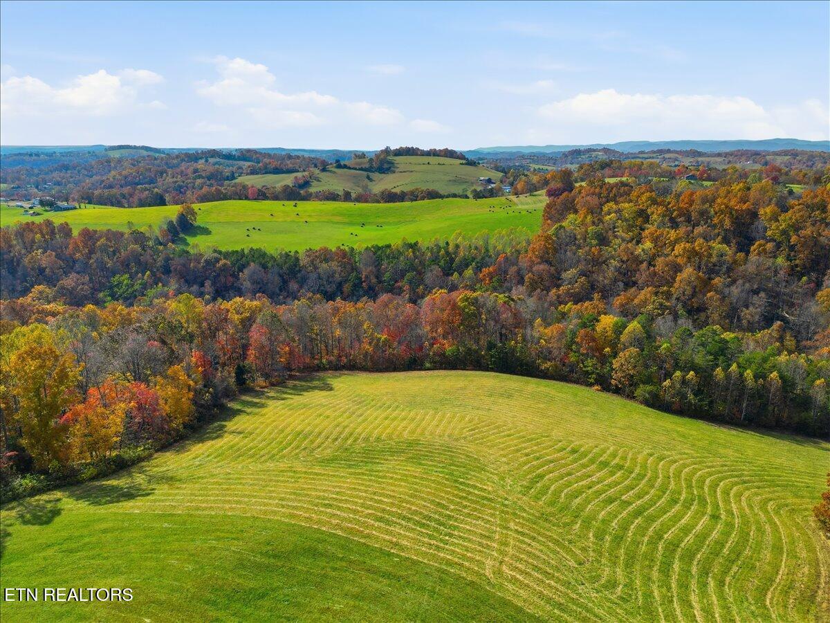 Image 4: Copy of 02-DJI_0497