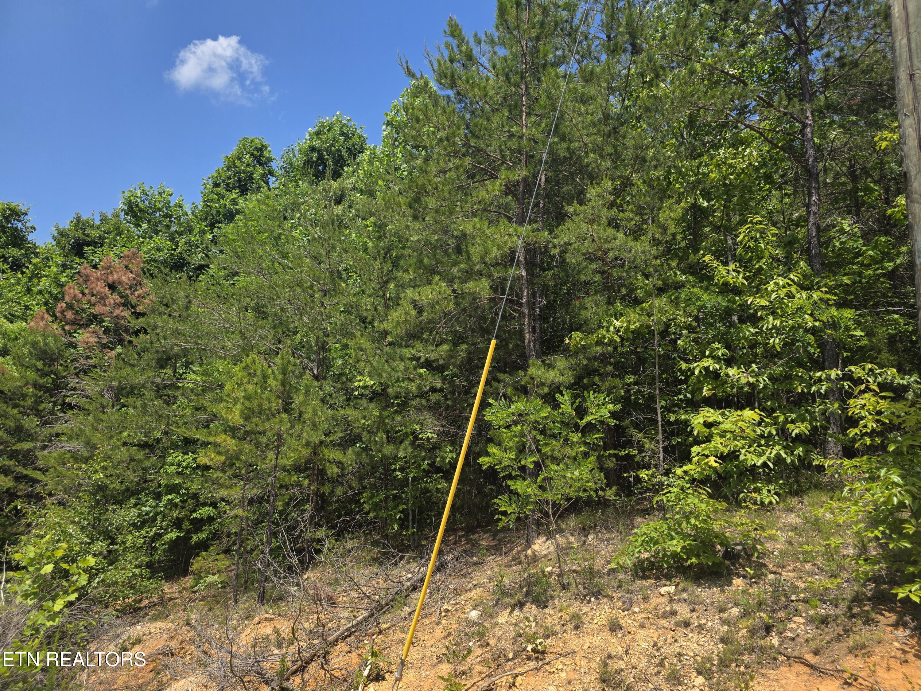 Image 2: 20260518_123844(0)