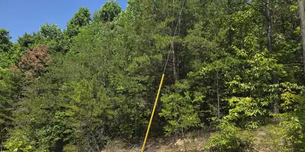 Image 2: 20260518_123844(0)