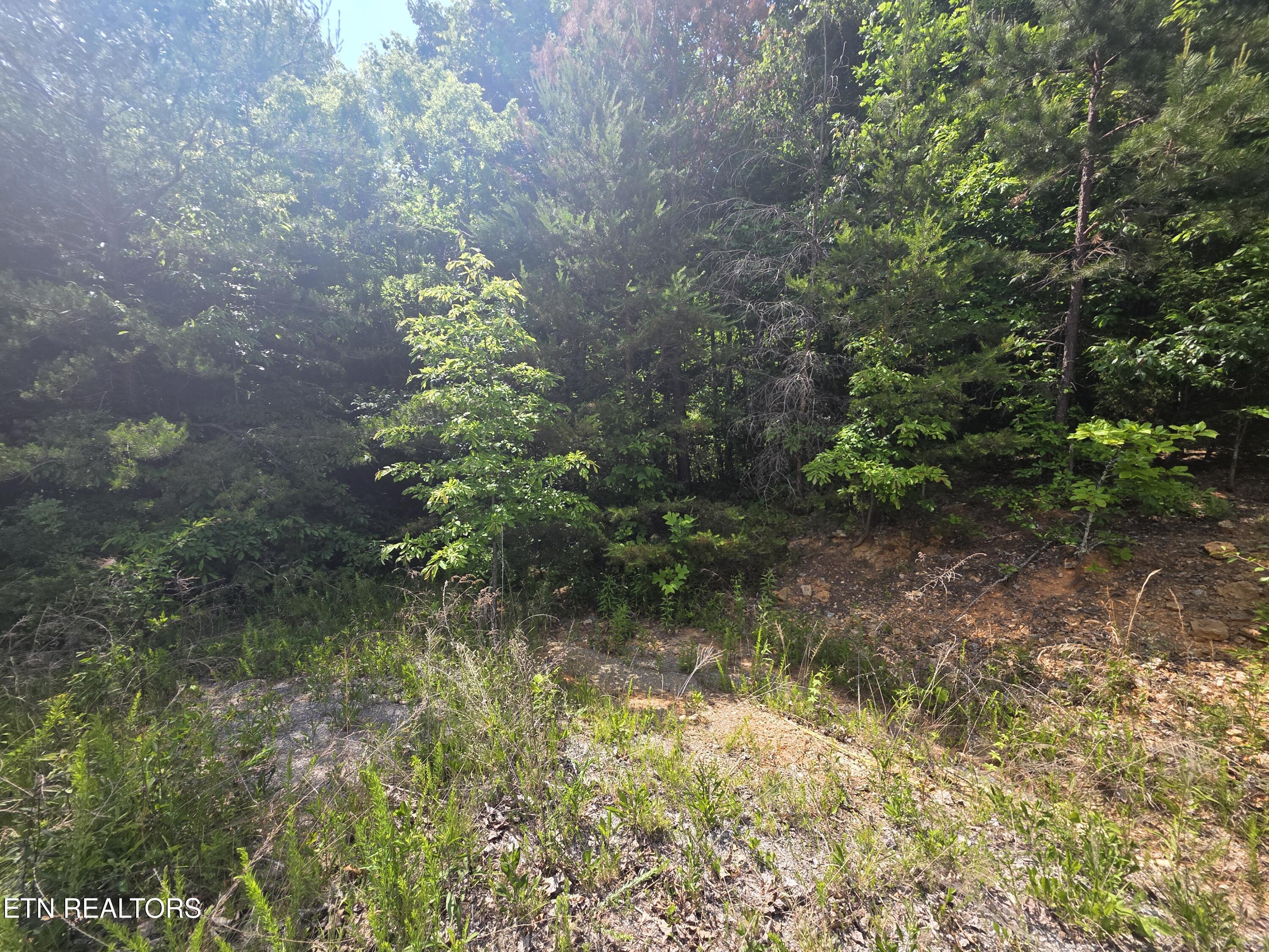Image 3: 20260517_160324