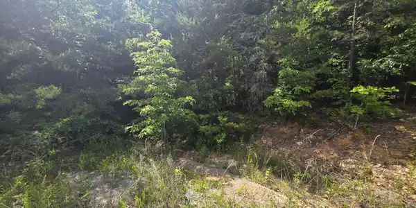 Image 3: 20260517_160324