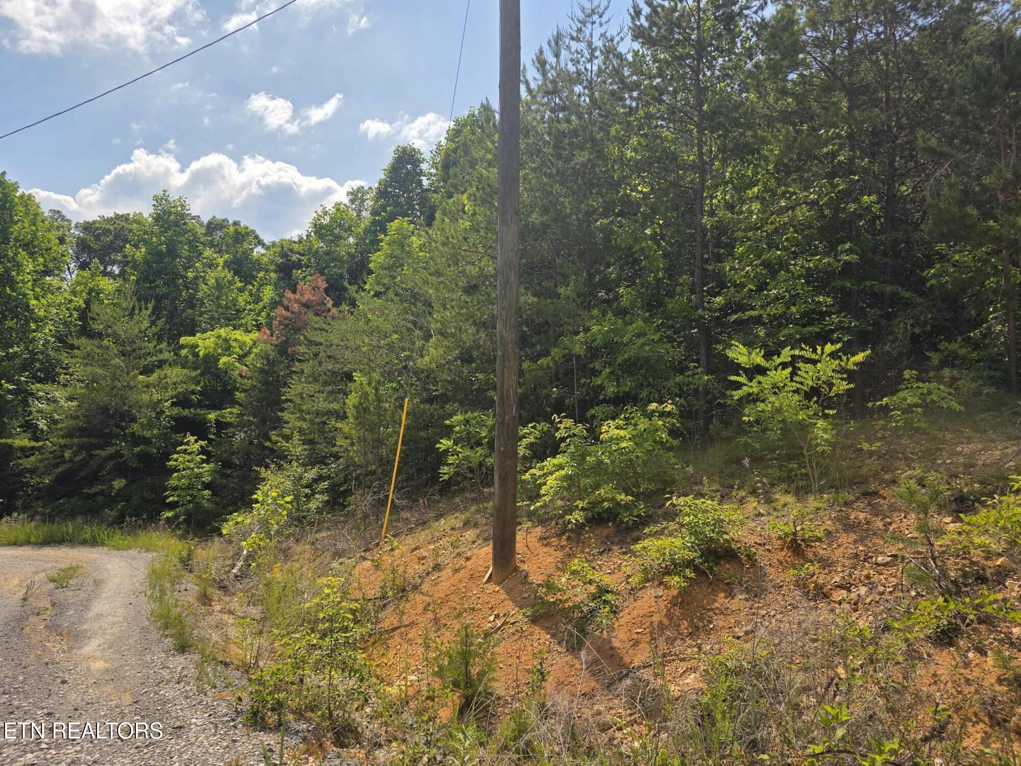 Image 4: 20260517_160458