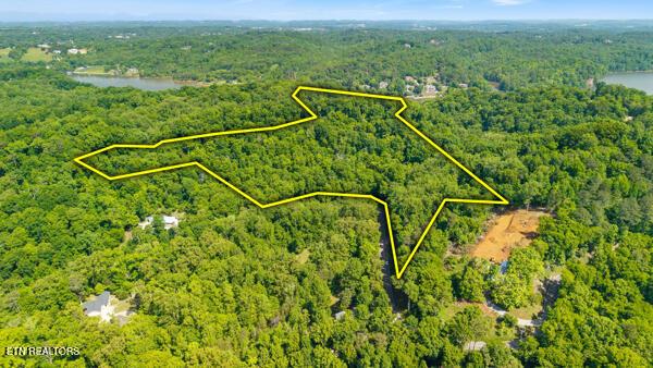 Image 4: 2