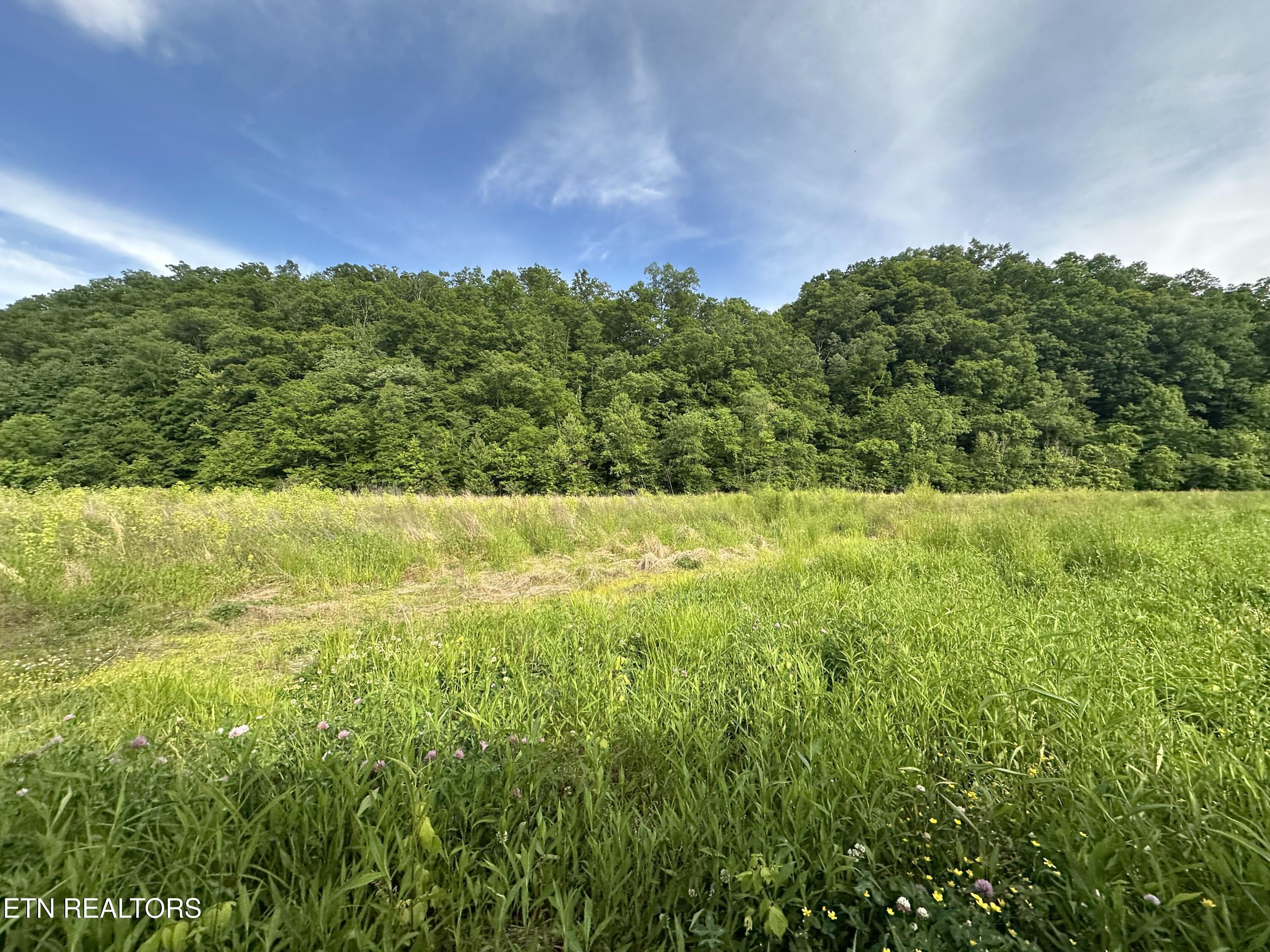 Image 2: IMG_3189