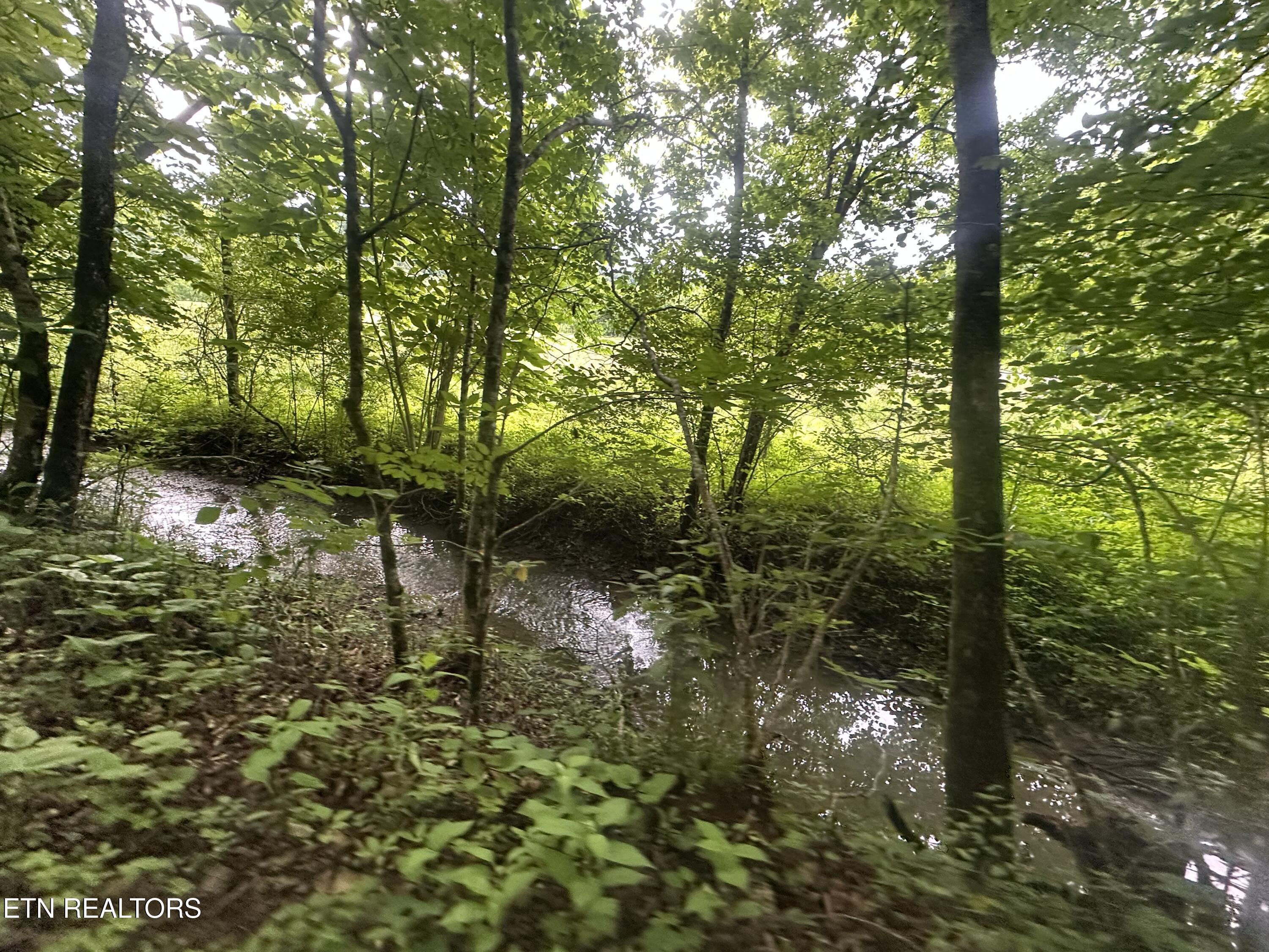 Image 4: IMG_3335