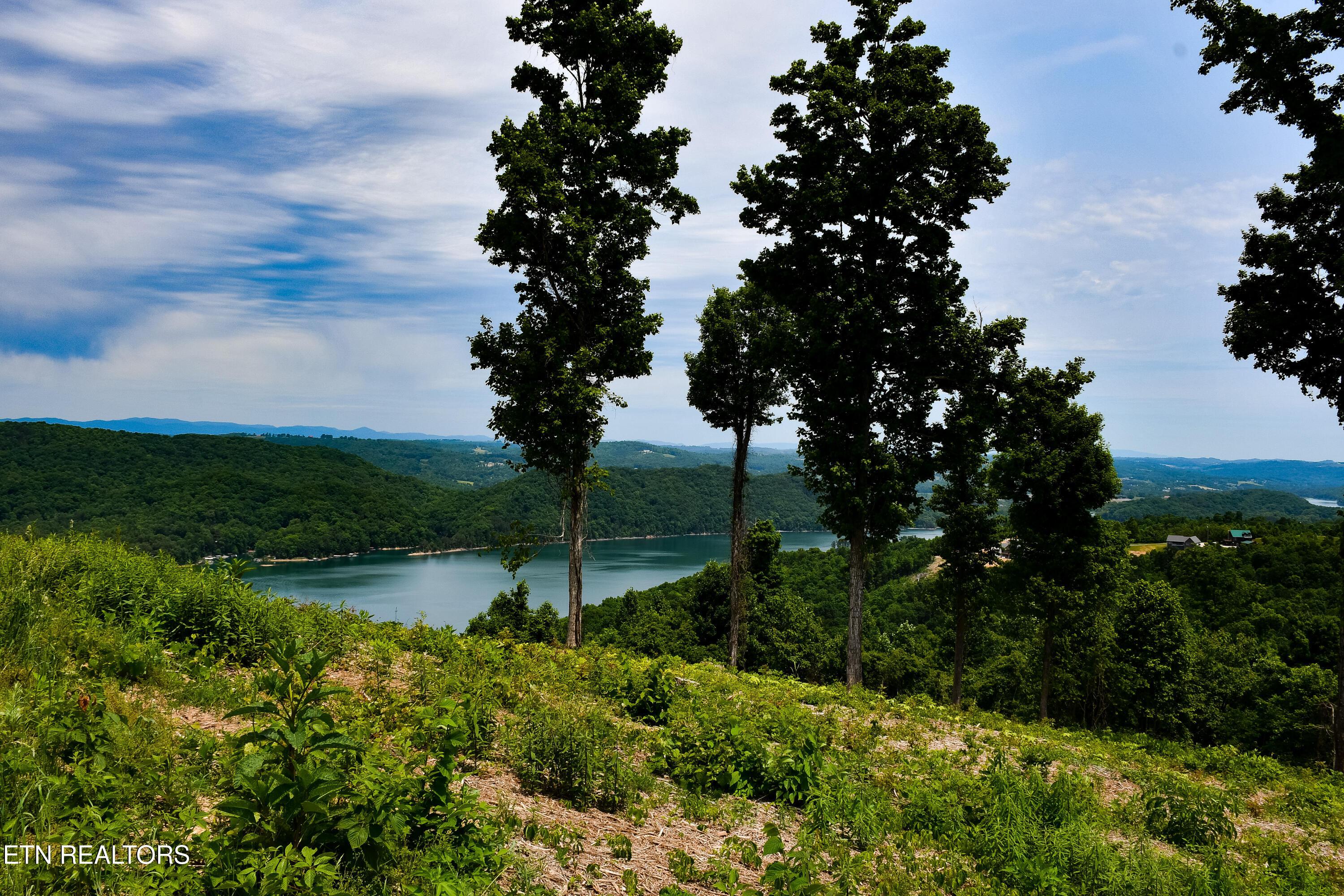 Image 2: Crown Hill