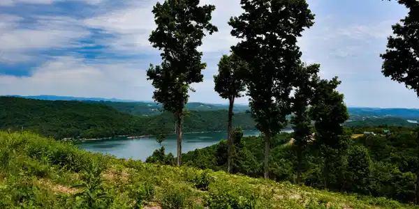 Image 2: Crown Hill