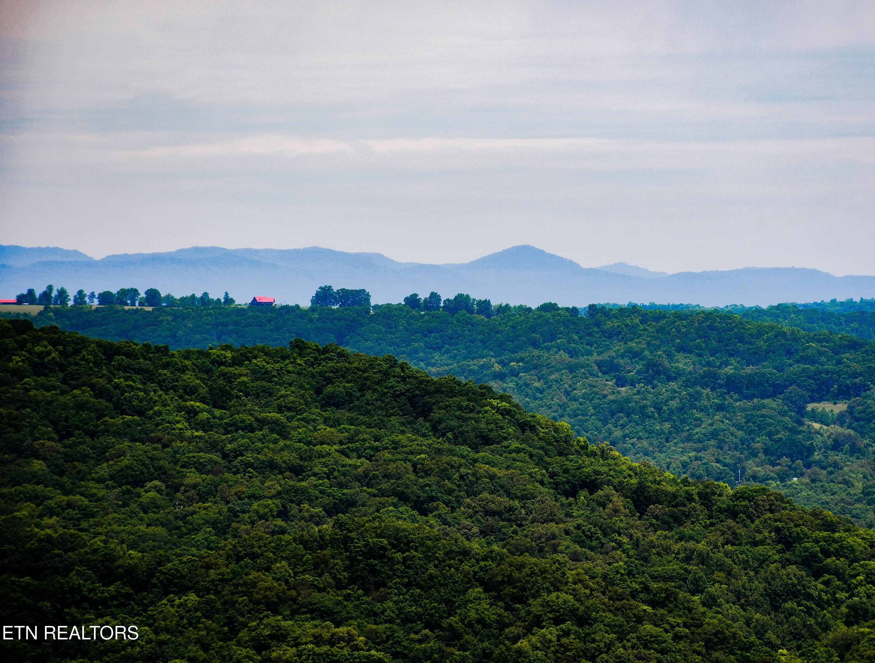 Image 3: Crown Hill