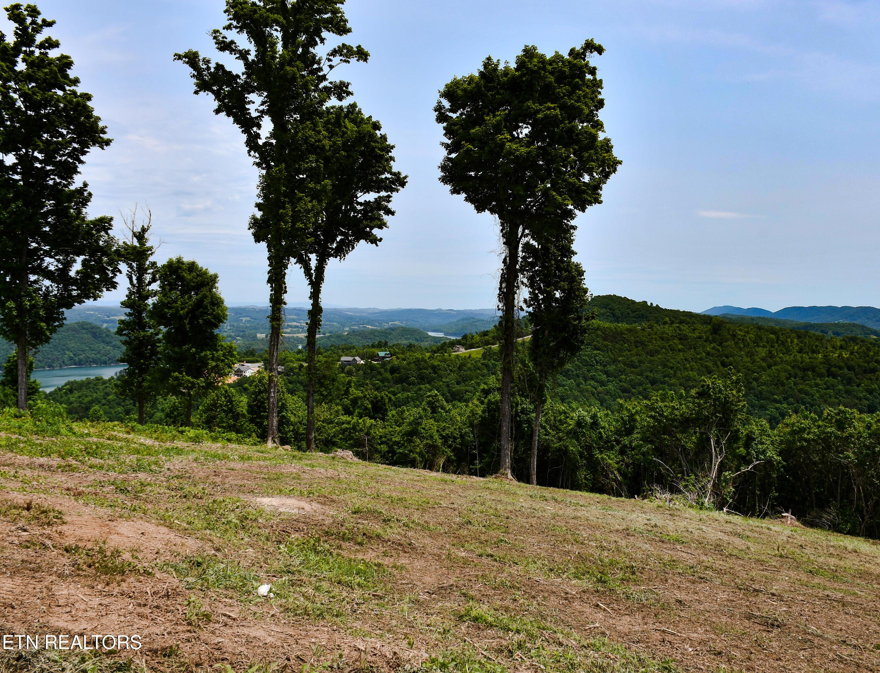 Image 4: Crown Hill