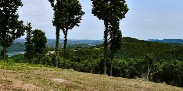 Image 4: Crown Hill