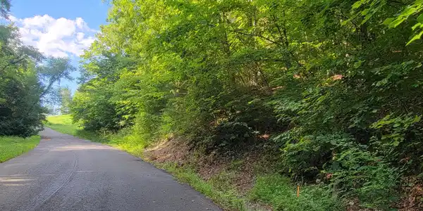Lakeshore Dr (Lot 36) Way