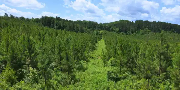 Image 4: 15