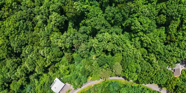 Image 3: 3_dji_0099