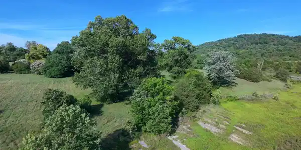 Image 2: dji_fly_20260617_181734_0130_17817353982