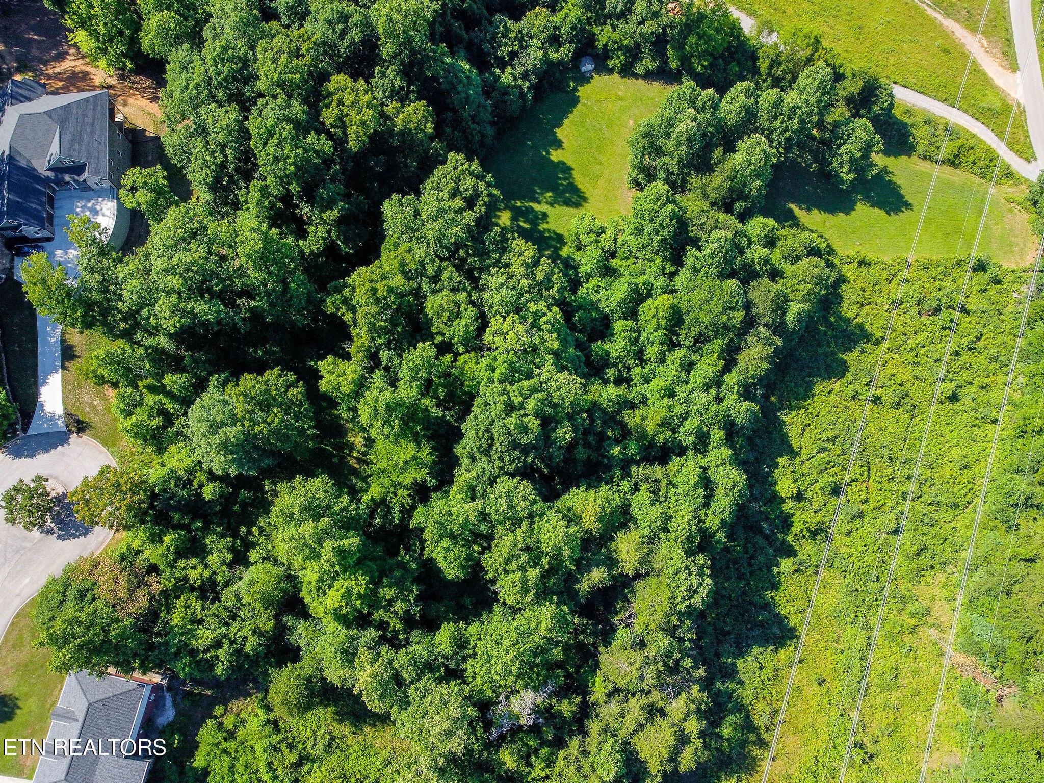 Image 4: DJI_0882-HDR