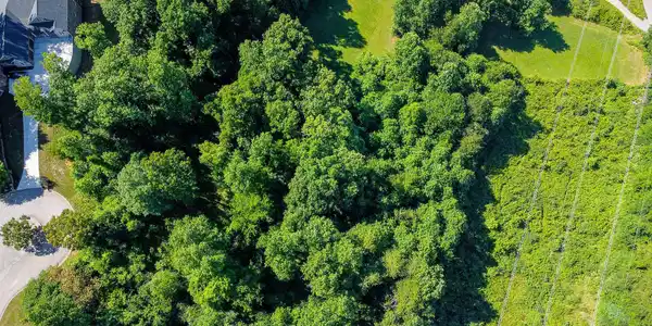 Image 4: DJI_0882-HDR