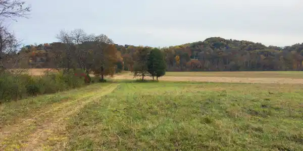 Haws Rd