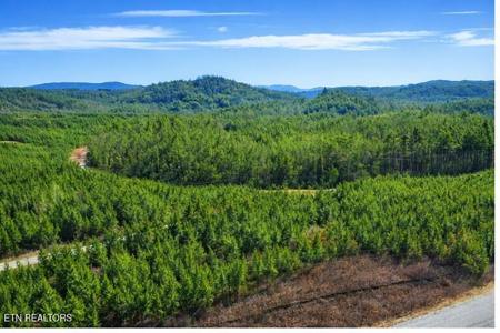 Ridgeline Dr