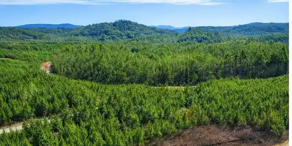 Ridgeline Dr