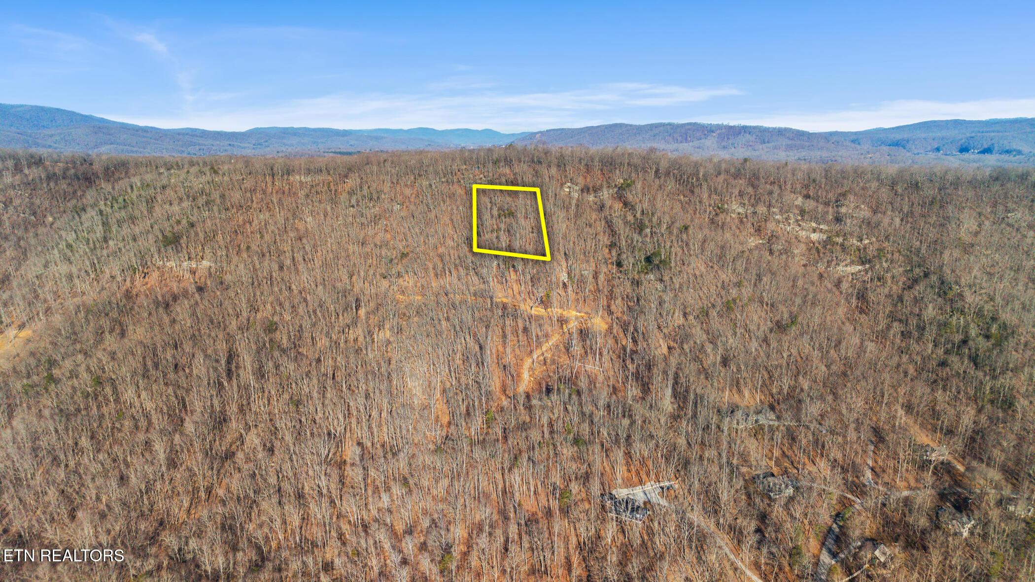 Image 2: dji_20260212092523_0331_d_lot4