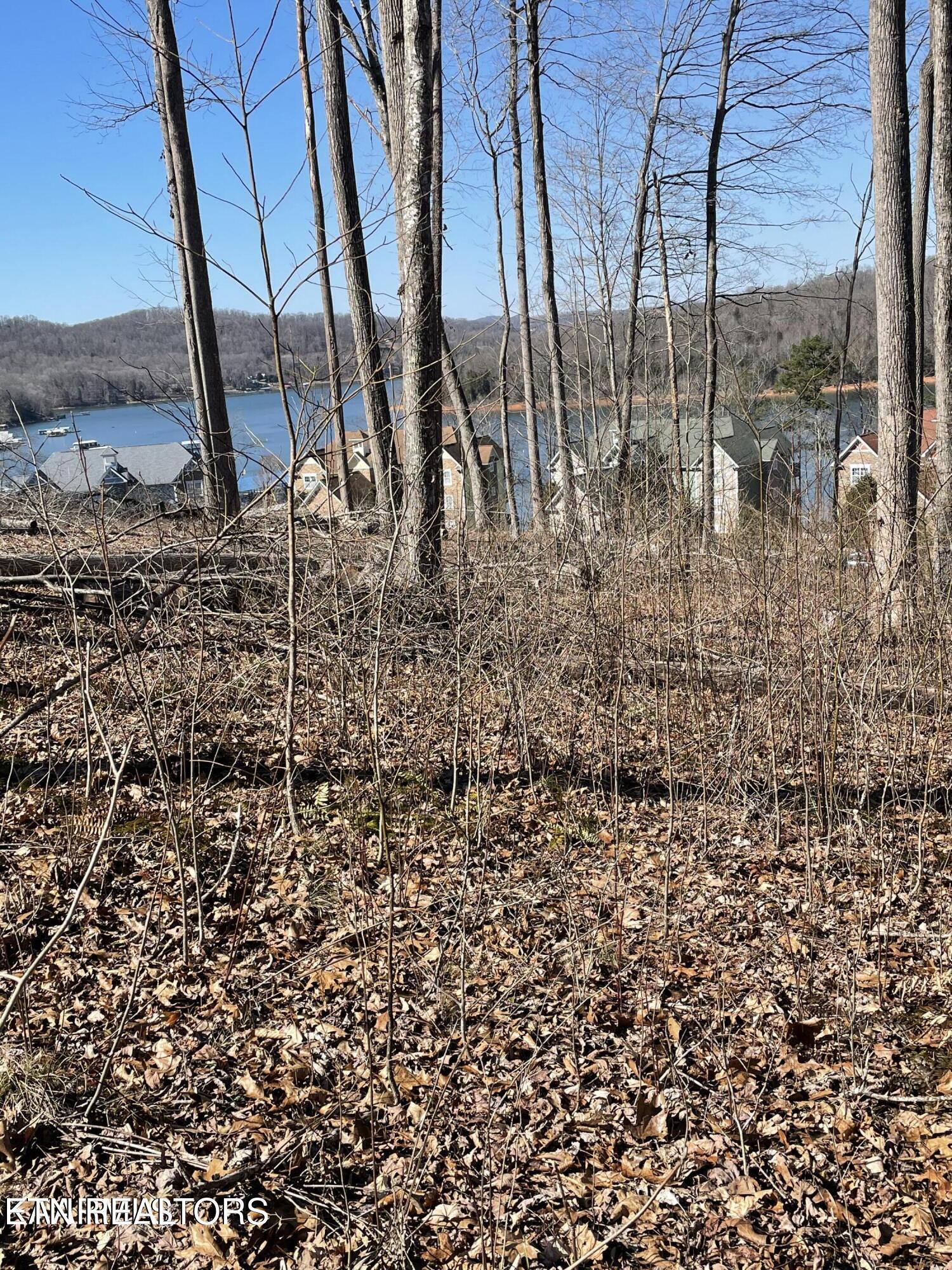 Image 1: Lot 8