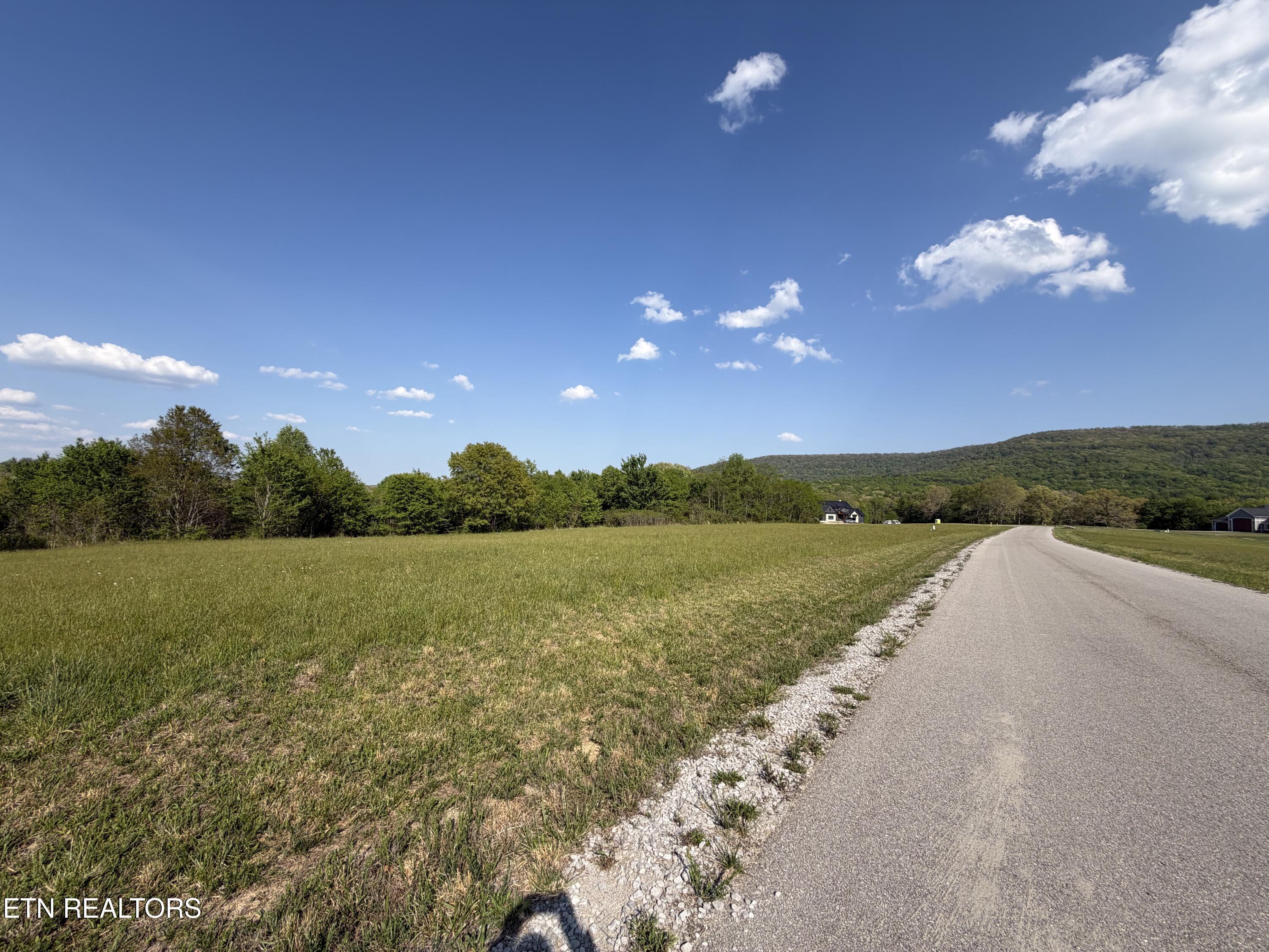 Image 2: IMG_0177