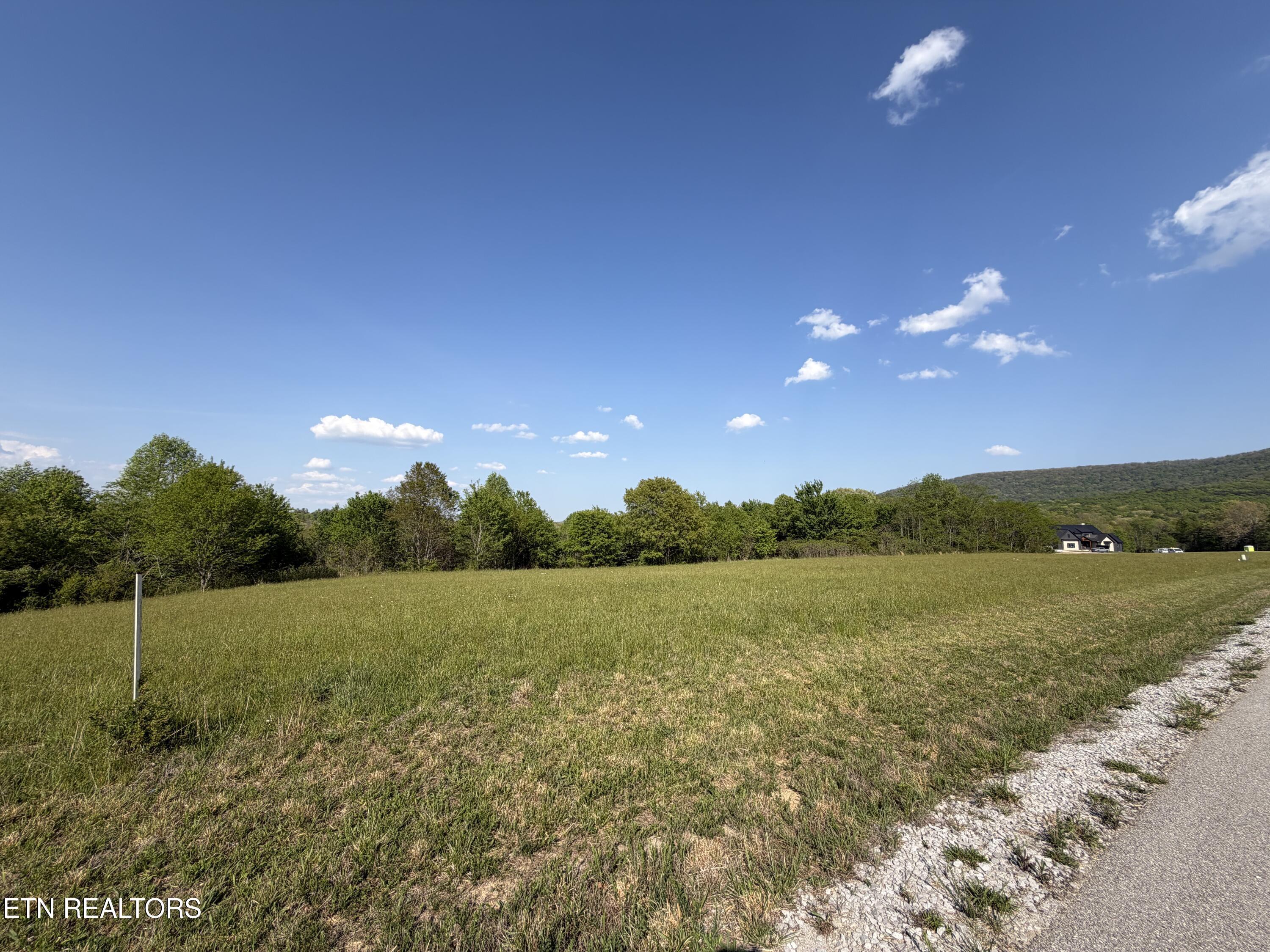 Image 3: IMG_0176