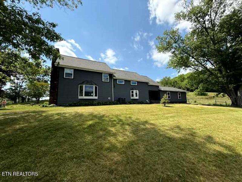 Image 4: 4de66578-f1bd-4784-8067-755cbc0afd01