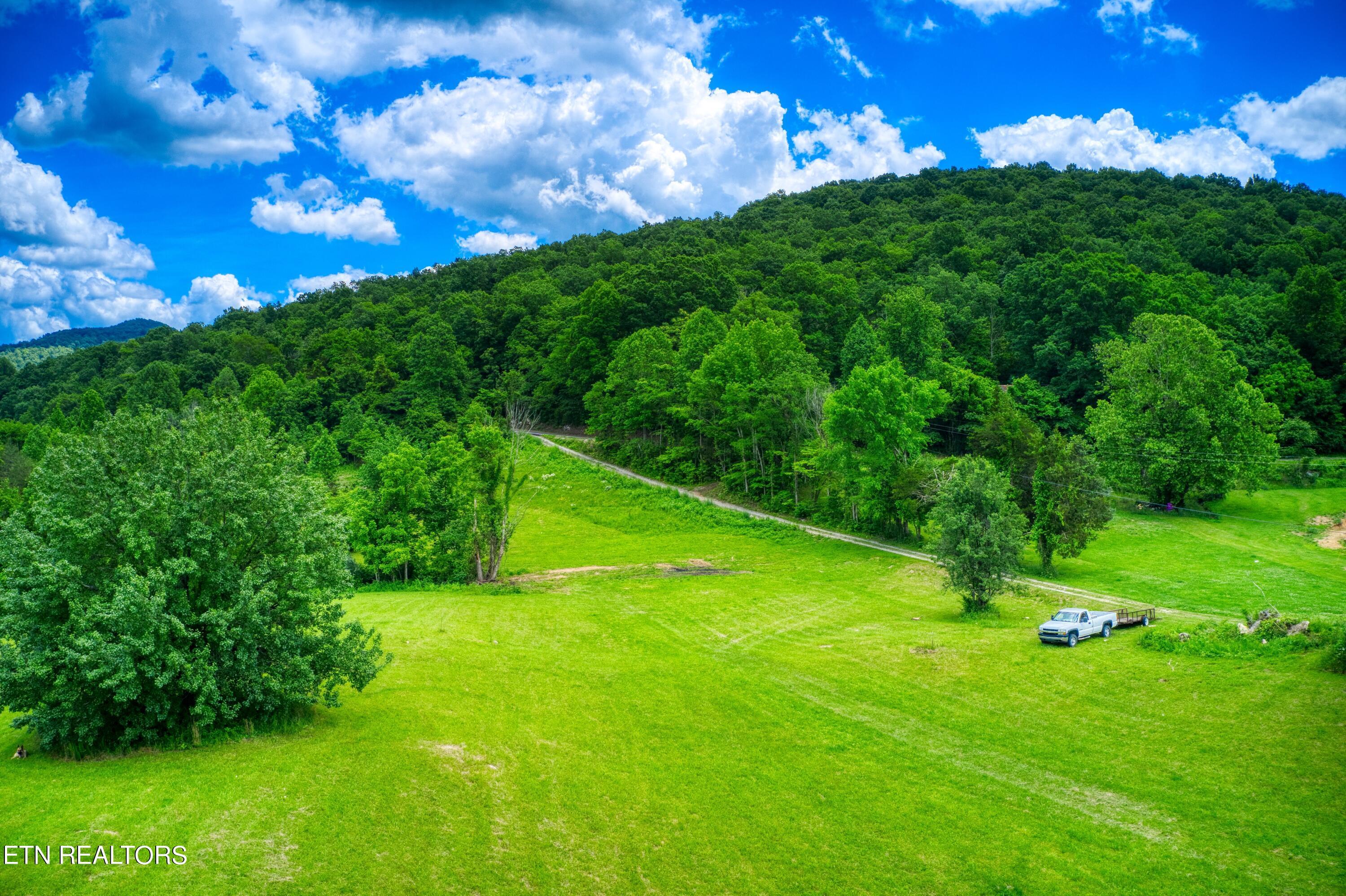 Image 3: DJI_0718