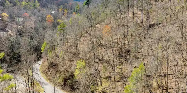 1 & 2 N Clear Fork Rd