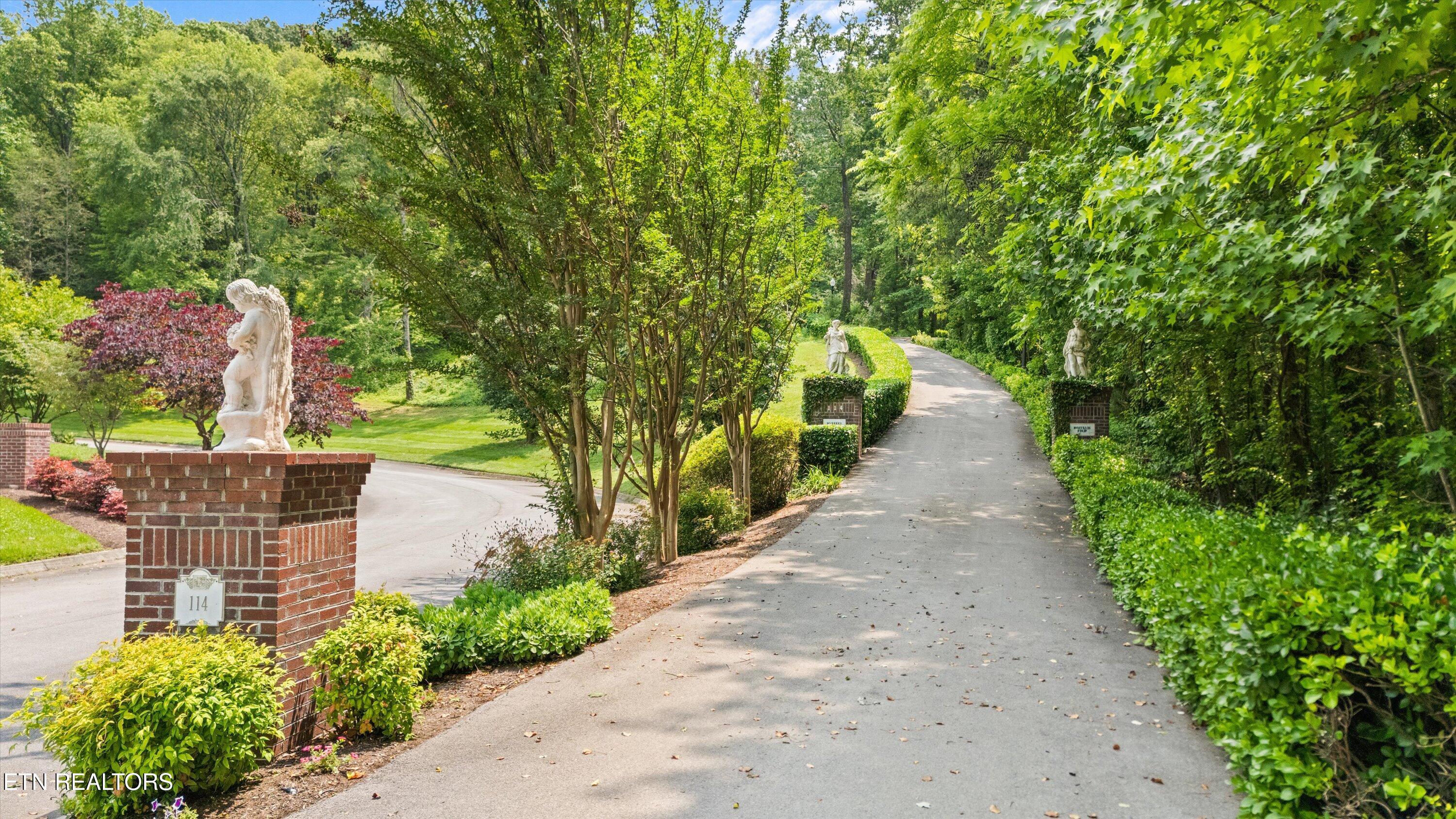 Image 3: Gorgeous sweeping driveway