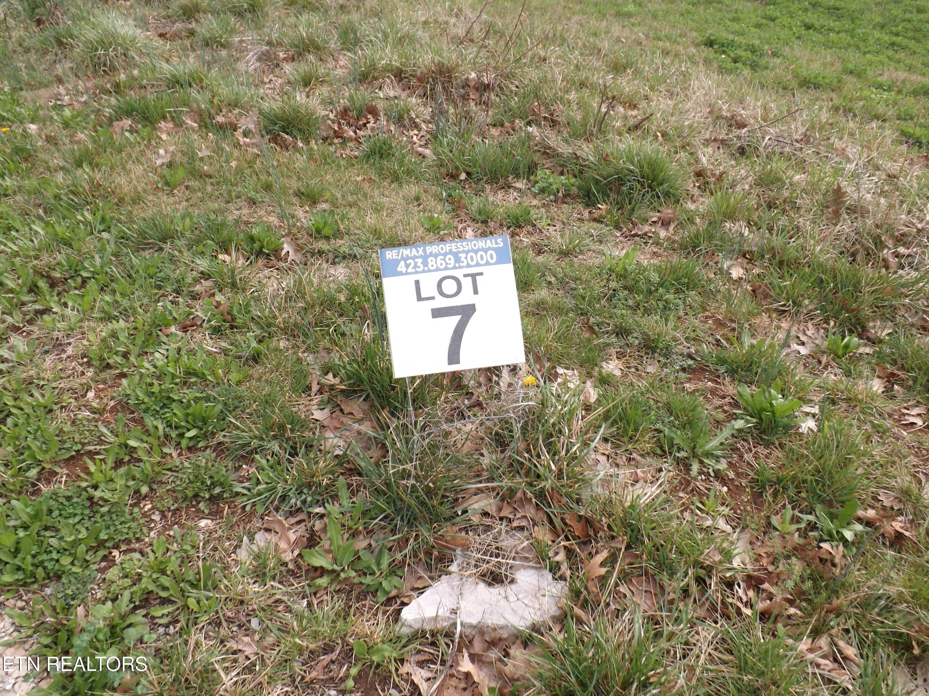 Image 4: DSCF3754