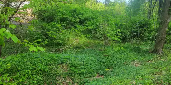 Image 3: LEVEL BUILDING AREA