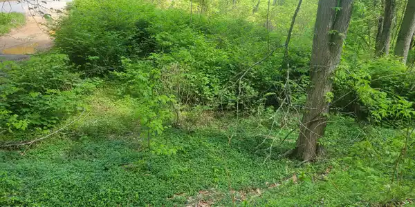 Image 4: ROLLING LEVEL AREA