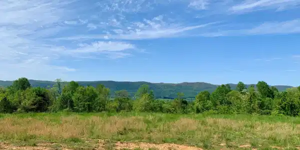 Image 4: 4