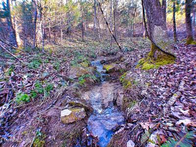 144 Charlie Jones Rd