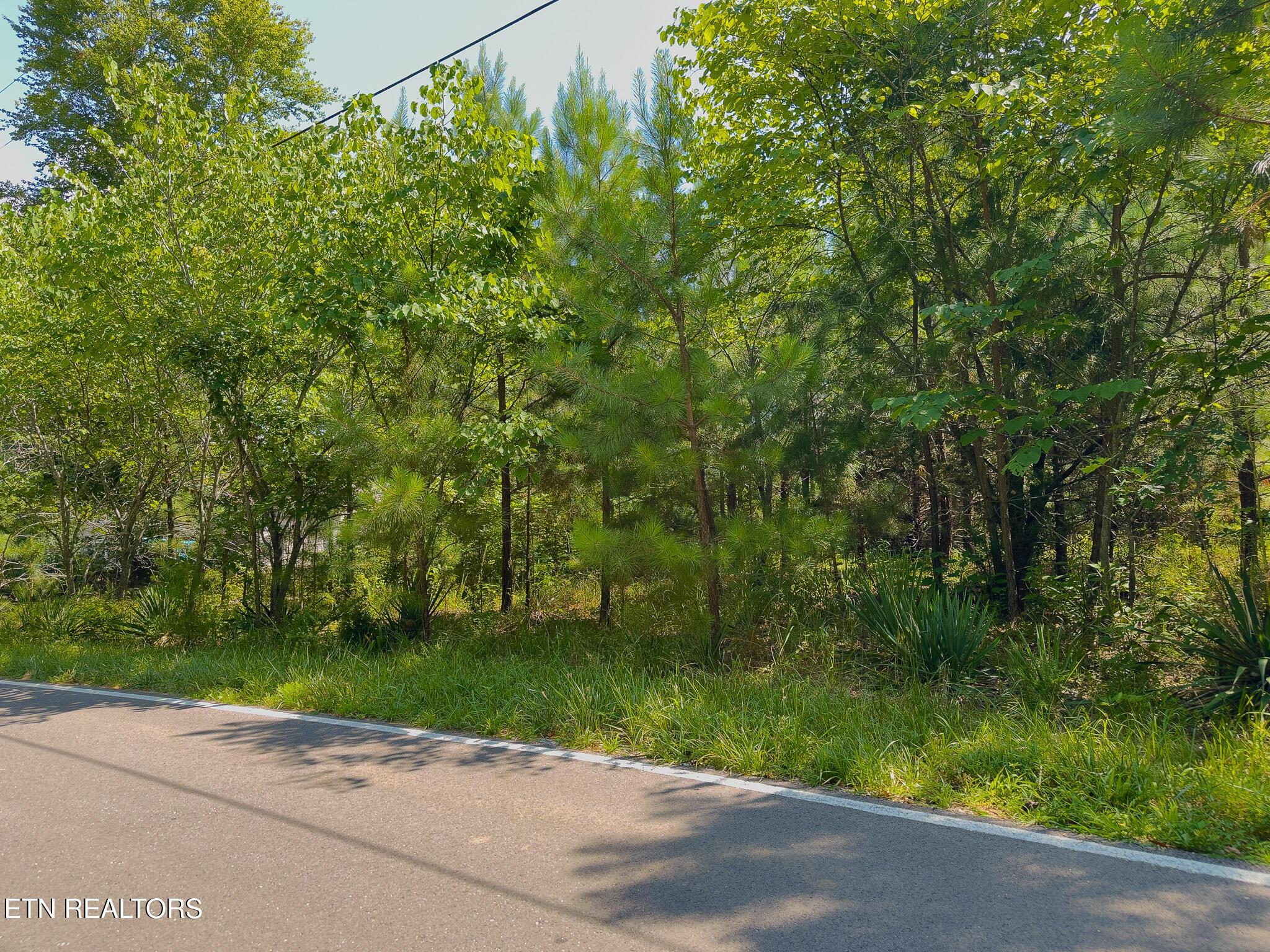 Image 2: Street View