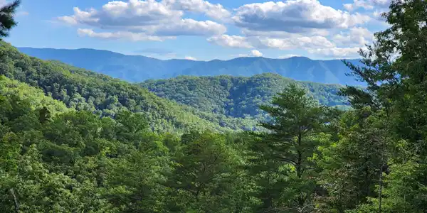 Image 4: Southwest Ridge View 08-25